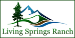 link to us